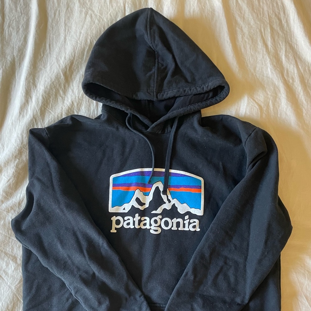 Patagonia Hoody
